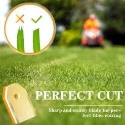 GESCHENKE 30 X Lames De Rechange En Titane Pour Tous Les Tondeuses De Jardin Automower Husqvarna/Gardena/Yard Force/Automower, Robuste (3.1 G / 0.75 Mm) Avec Vis -Tondeuse Et Accessoires Boutique 67332328 5