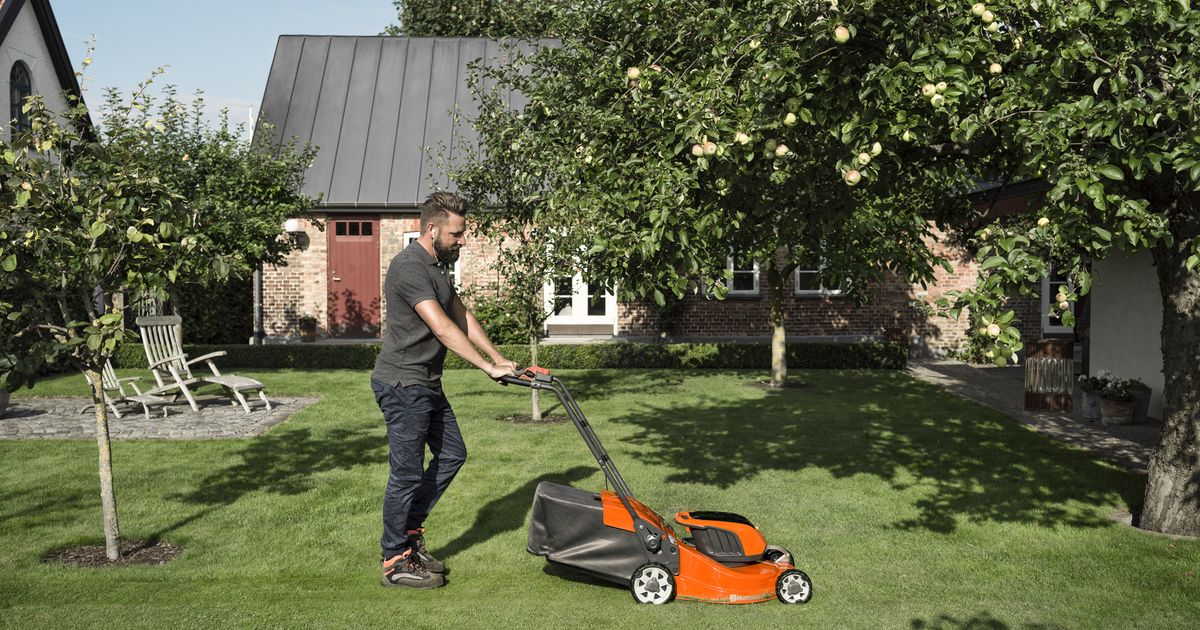 Tondeuse Et Accessoires Boutique -Tondeuse Et Accessoires Boutique h350 0459